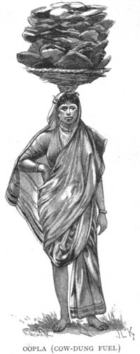 Oopla Dung Fuel